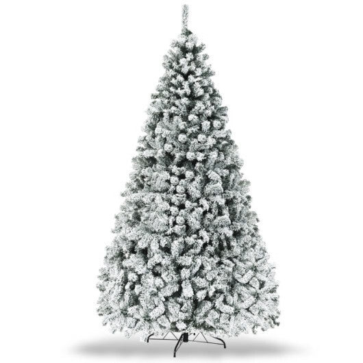 Image #5
