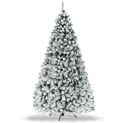 Image #5